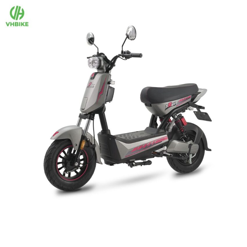 Xe đạp điện Espero T-Rex