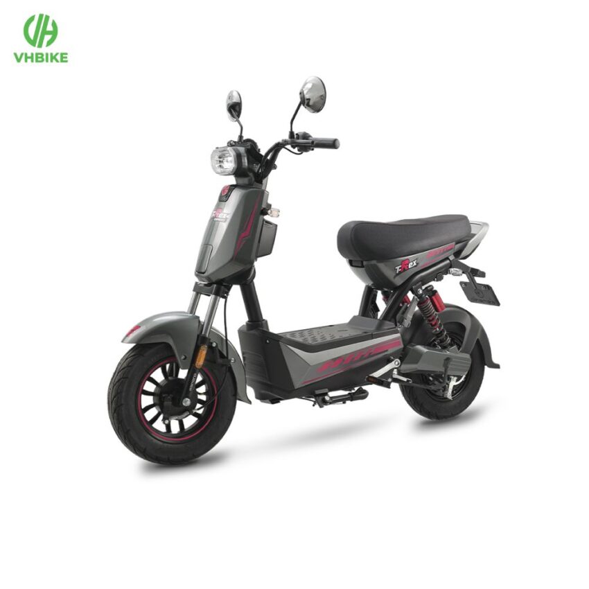 Xe đạp điện Espero T-Rex