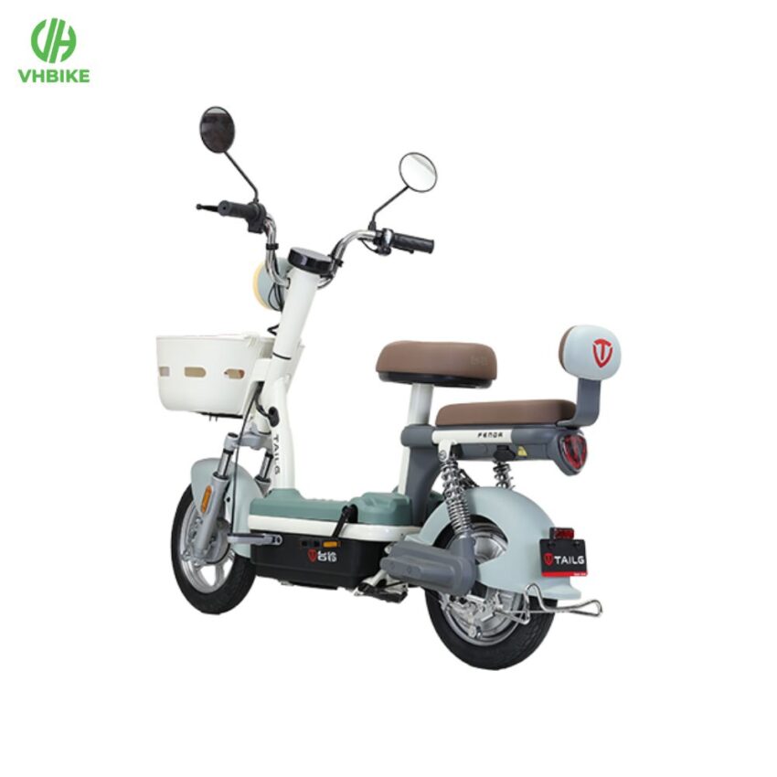 Xe đạp điện TAILG JY33