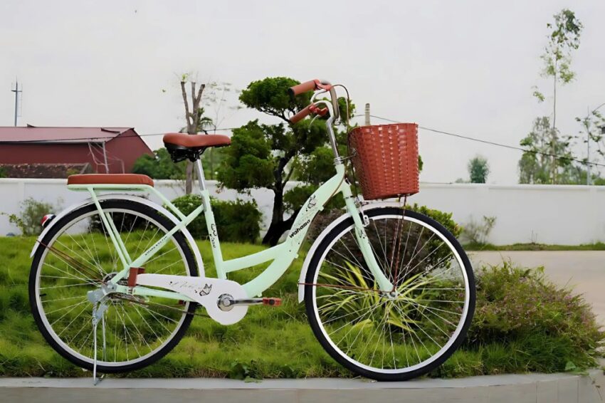 Xe đạp Wahama Camel 24 inch/ 26 inch