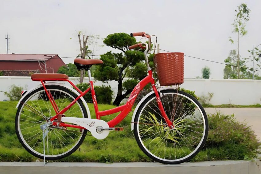 Xe đạp Wahama Camel 24 inch/ 26 inch