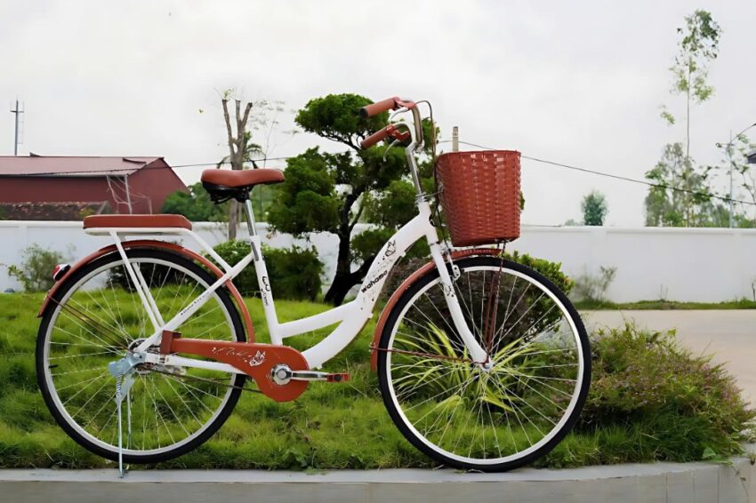 Xe đạp Wahama Camel 24 inch/ 26 inch