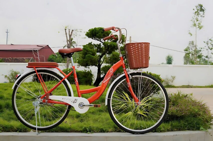 Xe đạp Wahama Camel 24 inch/ 26 inch