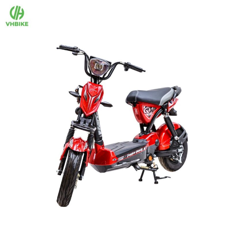 Xe đạp điện Nike Bike Q8