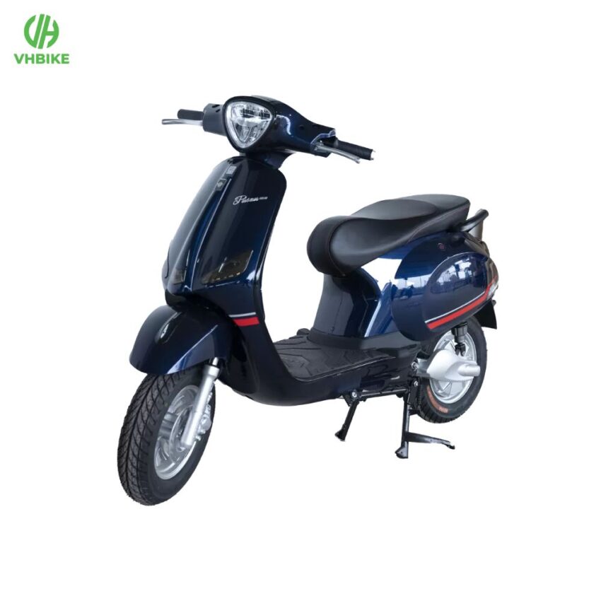 Xe đạp điện Pusan GLS