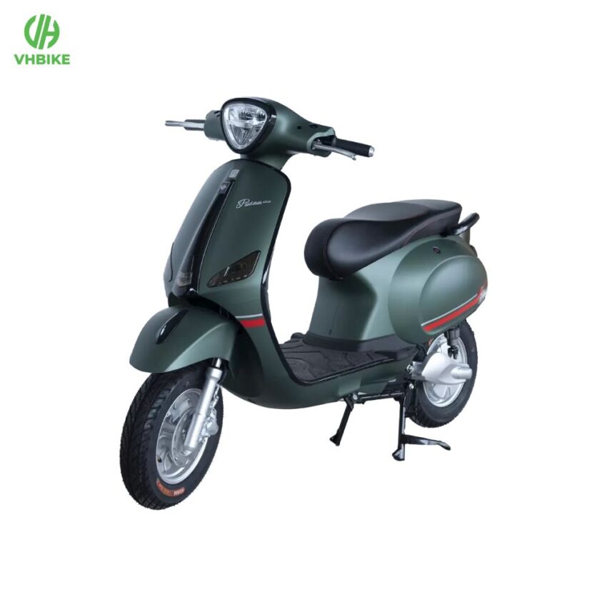 Xe đạp điện Pusan GLS