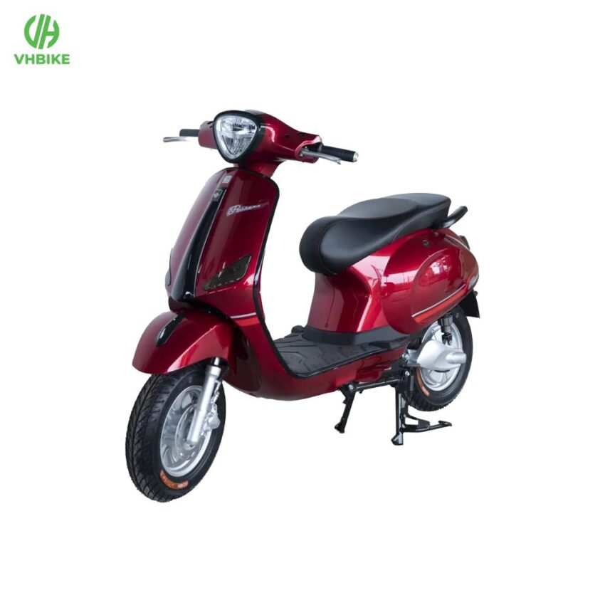 Xe đạp điện Pusan GLS