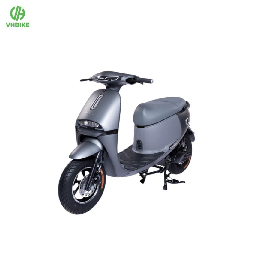 Xe đạp điện Pusan Gogo S5