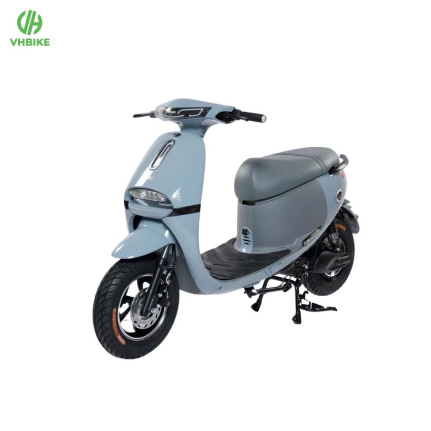 Xe đạp điện Pusan Gogo S5