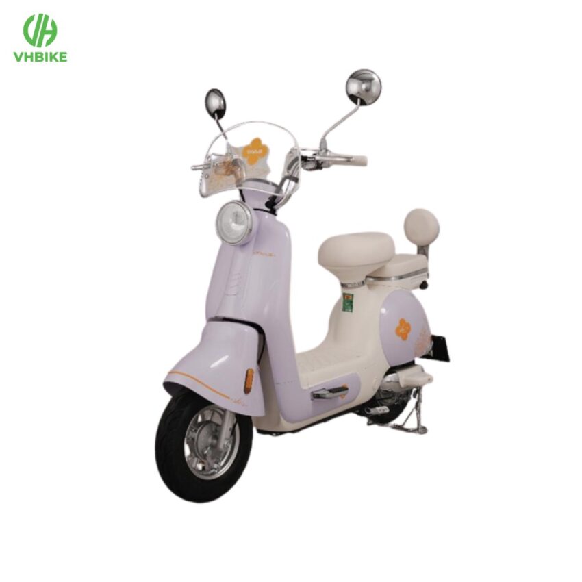 Xe đạp điện Tailg JS50