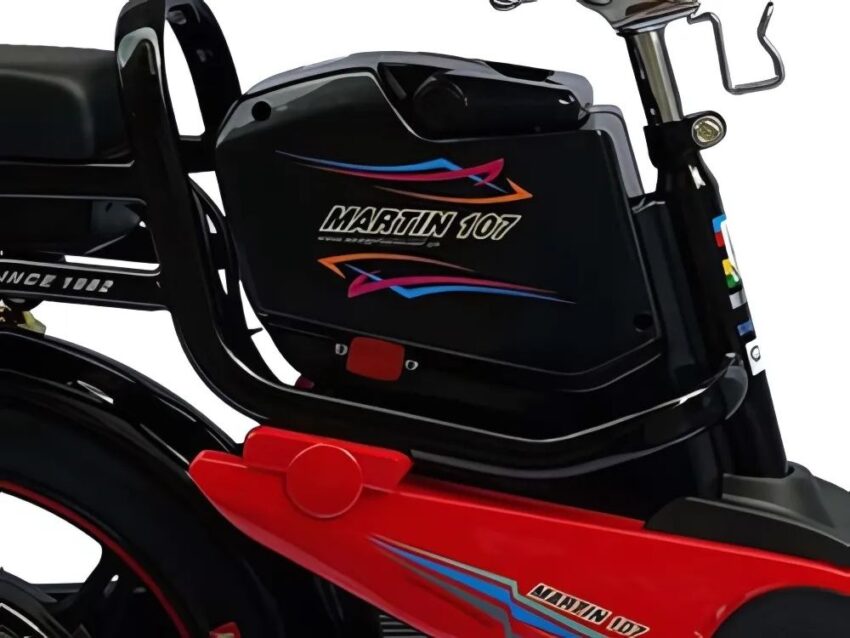 Xe đạp điện Martin EBM A1
