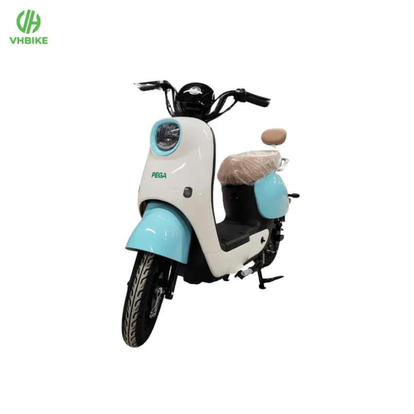 Xe đạp điện PEGA GENZ