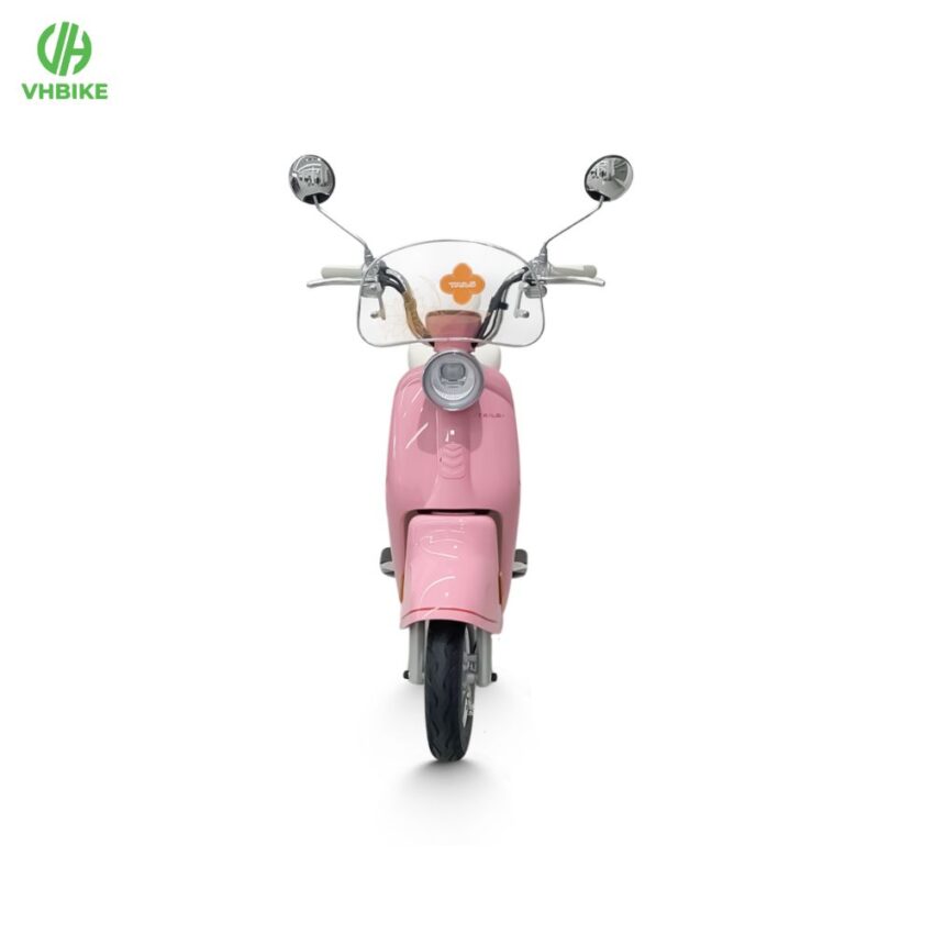 Xe đạp điện Tailg JS50