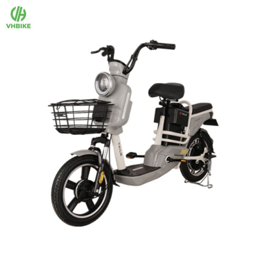 Xe đạp điện Tailg JY34