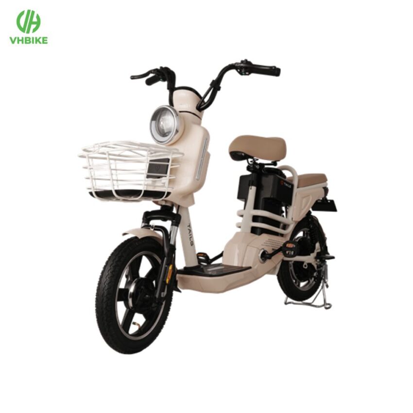 Xe đạp điện Tailg JY34