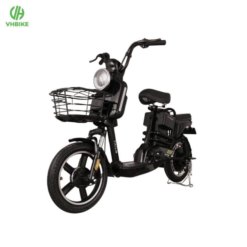 Xe đạp điện Tailg JY34