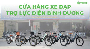 Cửa hàng xe đạp trợ lực điện Phoenix Bình Dương chính hãng, giá tốt