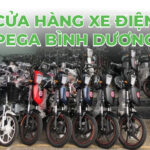 Vinh Huệ - Cửa hàng xe điện Pega Bình Dương chính hãng, giá tốt