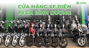 Vinh Huệ – Cửa hàng xe điện Pega Bình Dương chính hãng, giá tốt