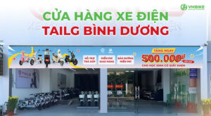 Xe điện Tailg Bình Dương – Mua xe chính hãng giá tốt tại Vinh Huệ
