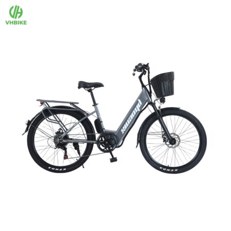 Xe đạp trợ lực điện Phoenix C1