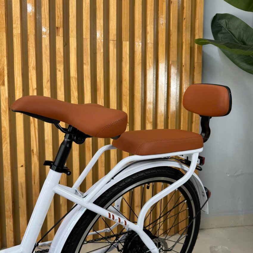 Xe đạp trợ lực điện Phoenix CF