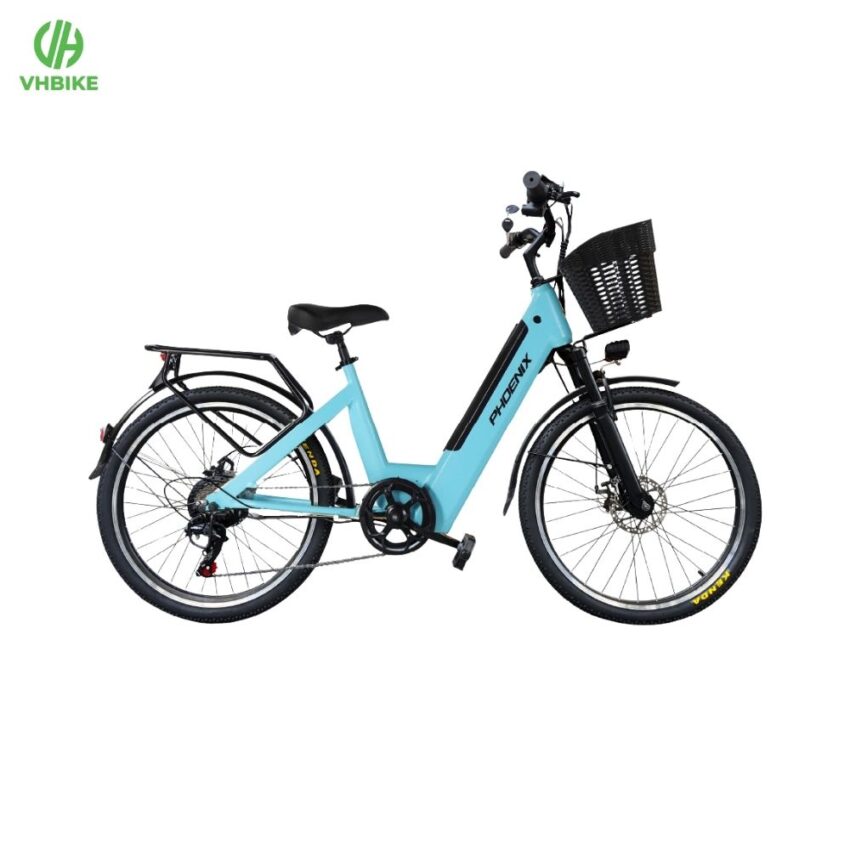 Xe đạp trợ lực điện Phoenix D2