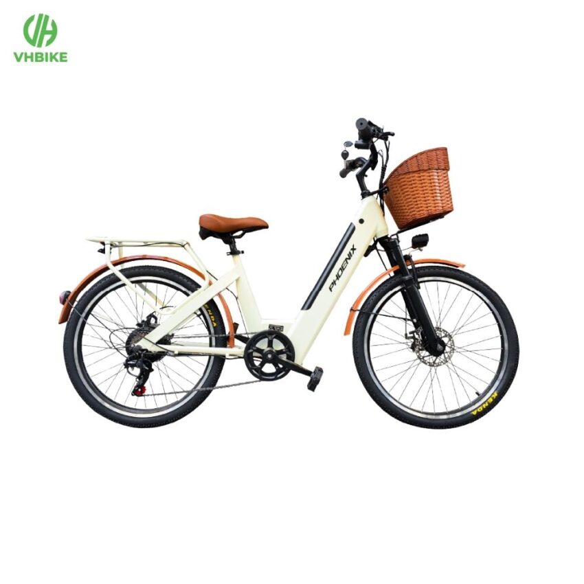 Xe đạp trợ lực điện Phoenix D2