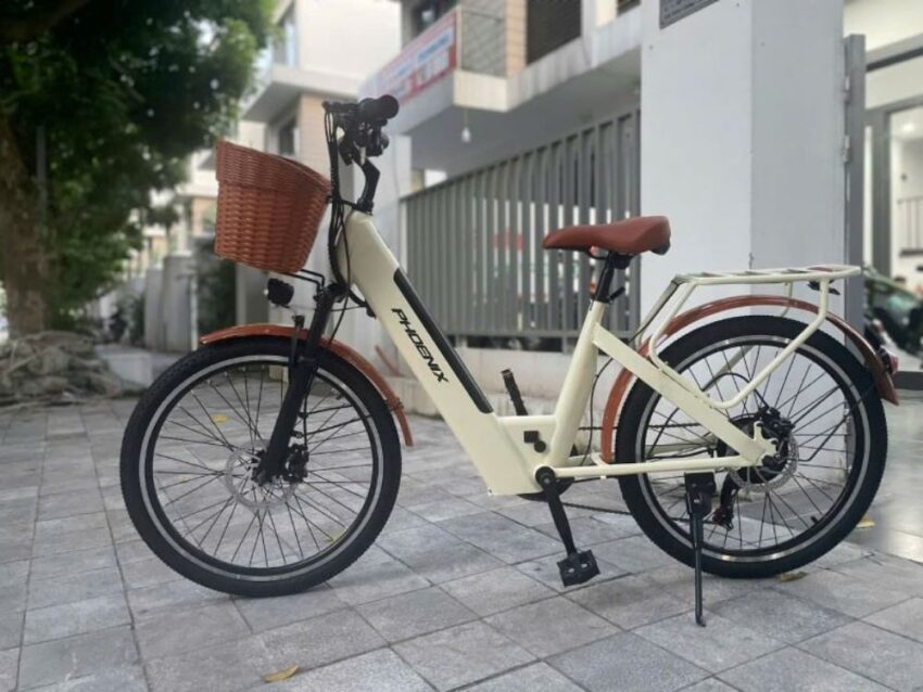 Xe đạp trợ lực điện Phoenix D2