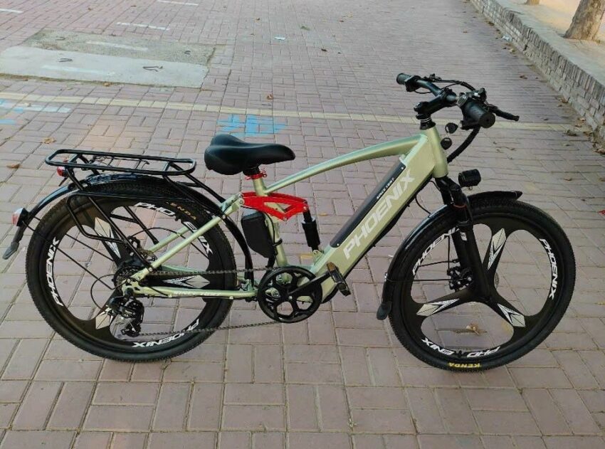 Xe đạp trợ lực điện Phoenix G2