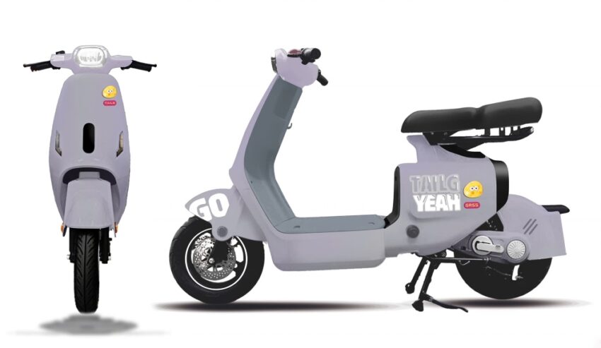 Xe đạp điện Tailg GR55