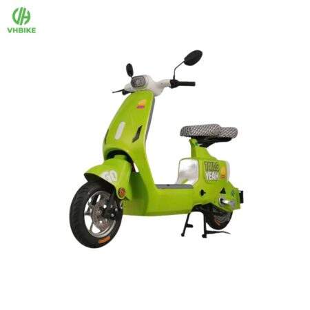 Xe đạp điện Tailg GR55
