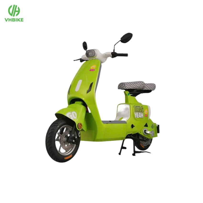 Xe đạp điện Tailg GR55