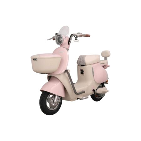 Xe đạp điện TAILG GR54