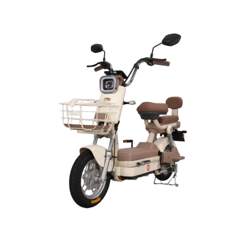 Xe đạp điện TAILG JK51