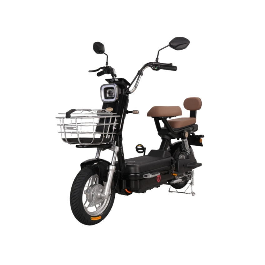 Xe đạp điện TAILG JK51