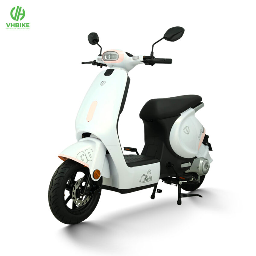 Xe đạp điện TAILG GR56