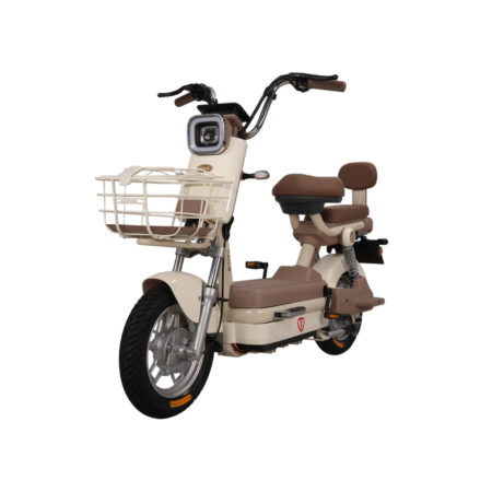 Xe đạp điện TAILG JK51