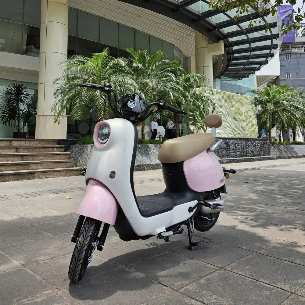 Top 5 mẫu xe đạp điện cho học sinh nữ đáng mua nhất