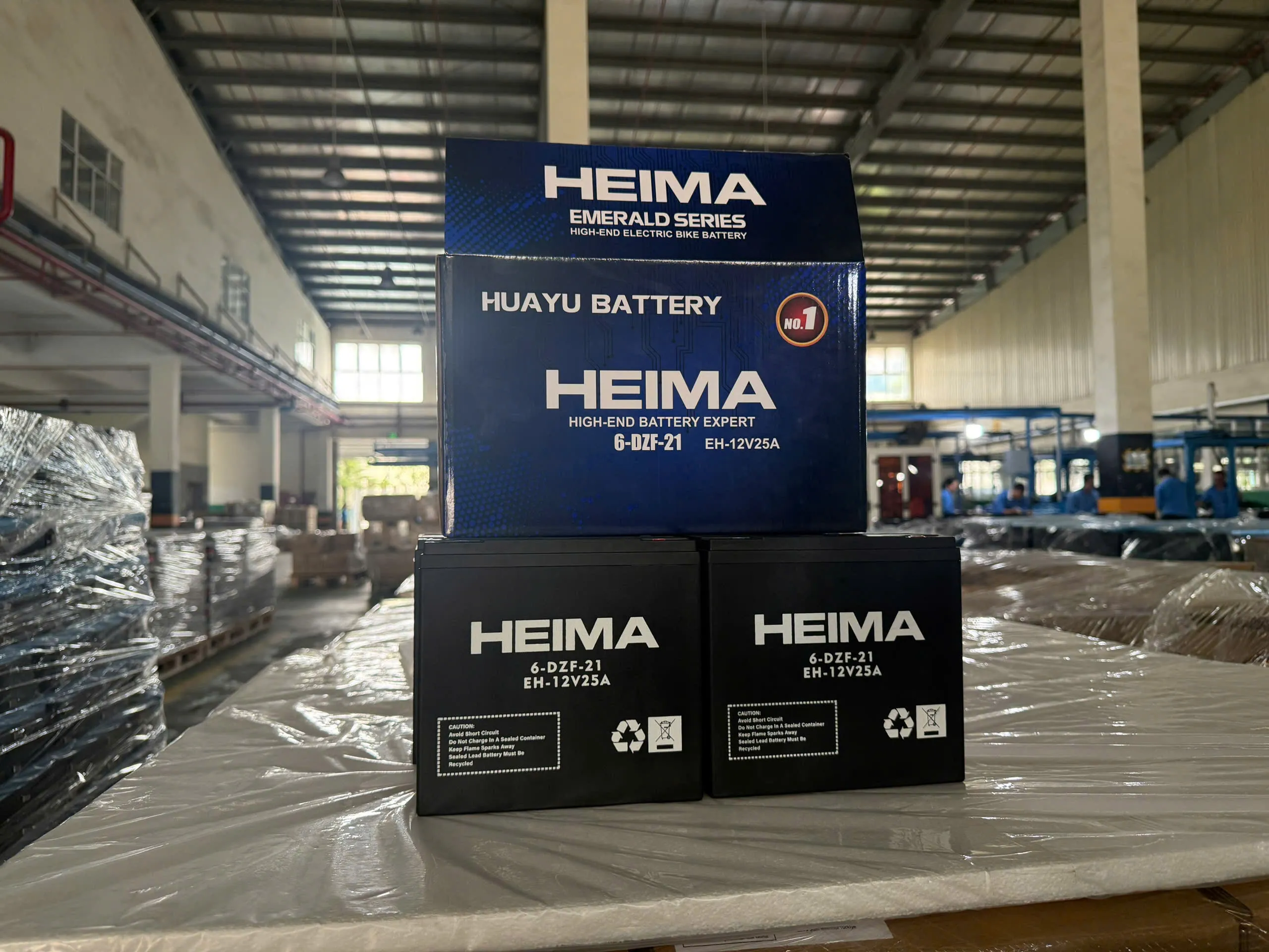 Ắc quy Heima 6-DZF-21 (12V 25Ah)