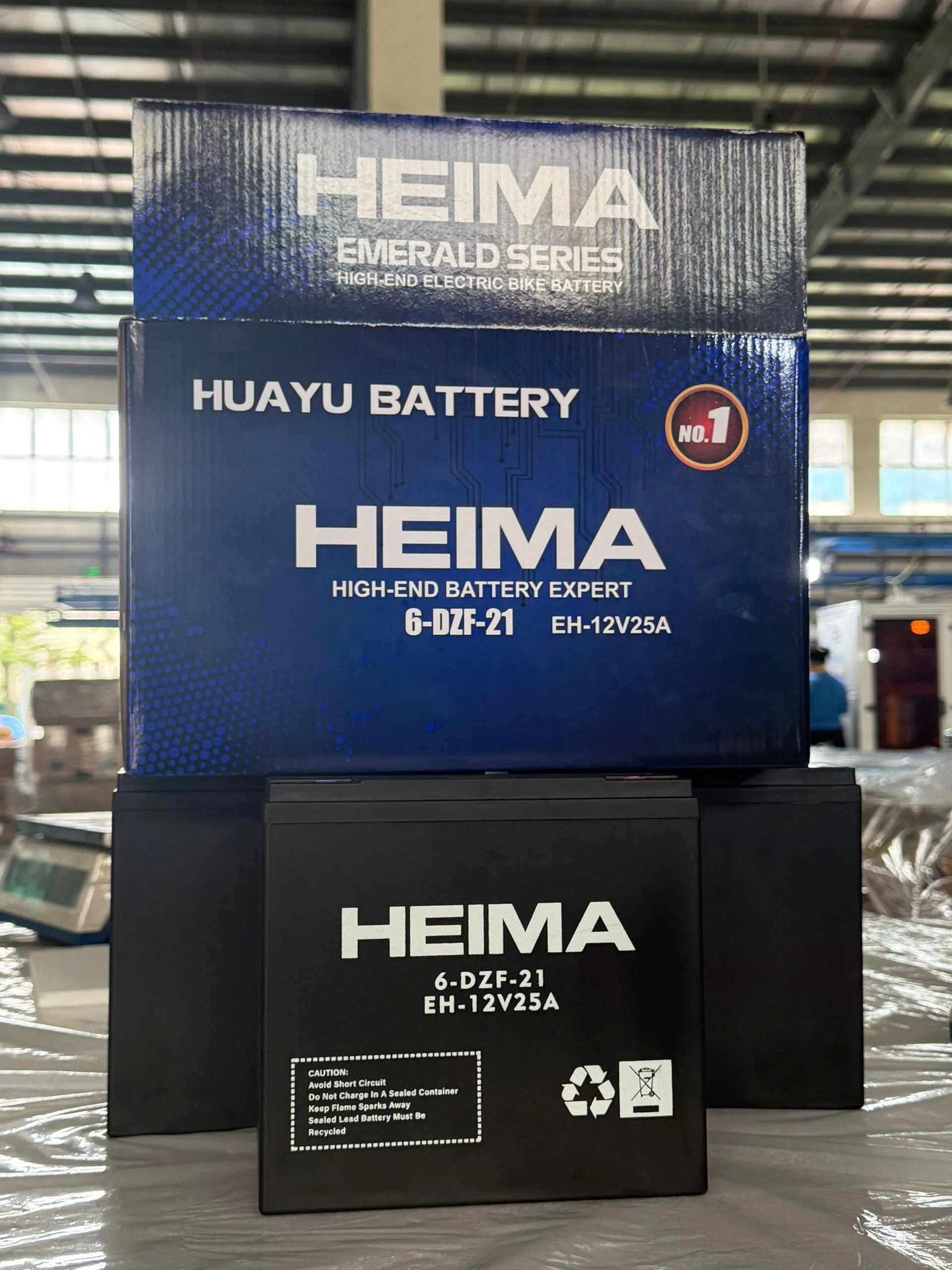 Ắc quy Heima 6-DZF-21 (12V 25Ah)