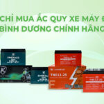 Địa chỉ mua ắc quy xe máy điện Bình Dương chính hãng