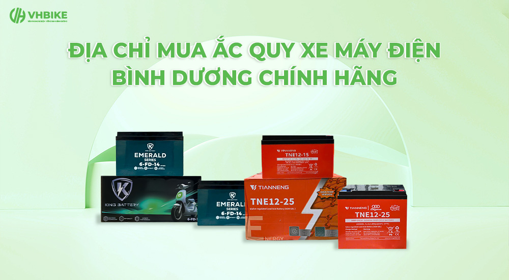 Địa chỉ mua ắc quy xe máy điện Bình Dương chính hãng
